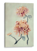 Crisantemo Belleza I - Natasha Chabot | Cuadro decorativo de Canvas Lab
