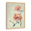 Crisantemo Belleza I - Natasha Chabot | Cuadro decorativo de Canvas Lab
