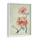 Crisantemo Belleza I - Natasha Chabot | Cuadro decorativo de Canvas Lab