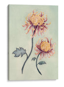 Chrysanthemum Beauty Ii - Natasha Chabot | Cuadro decorativo de Canvas Lab