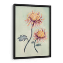 Chrysanthemum Beauty Ii - Natasha Chabot | Cuadro decorativo de Canvas Lab