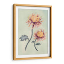 Chrysanthemum Beauty Ii - Natasha Chabot | Cuadro decorativo de Canvas Lab