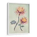 Chrysanthemum Beauty Ii - Natasha Chabot | Cuadro decorativo de Canvas Lab