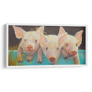 La Vida Como Cerdo Yo - Carolyne Hawley | Cuadro decorativo de Canvas Lab