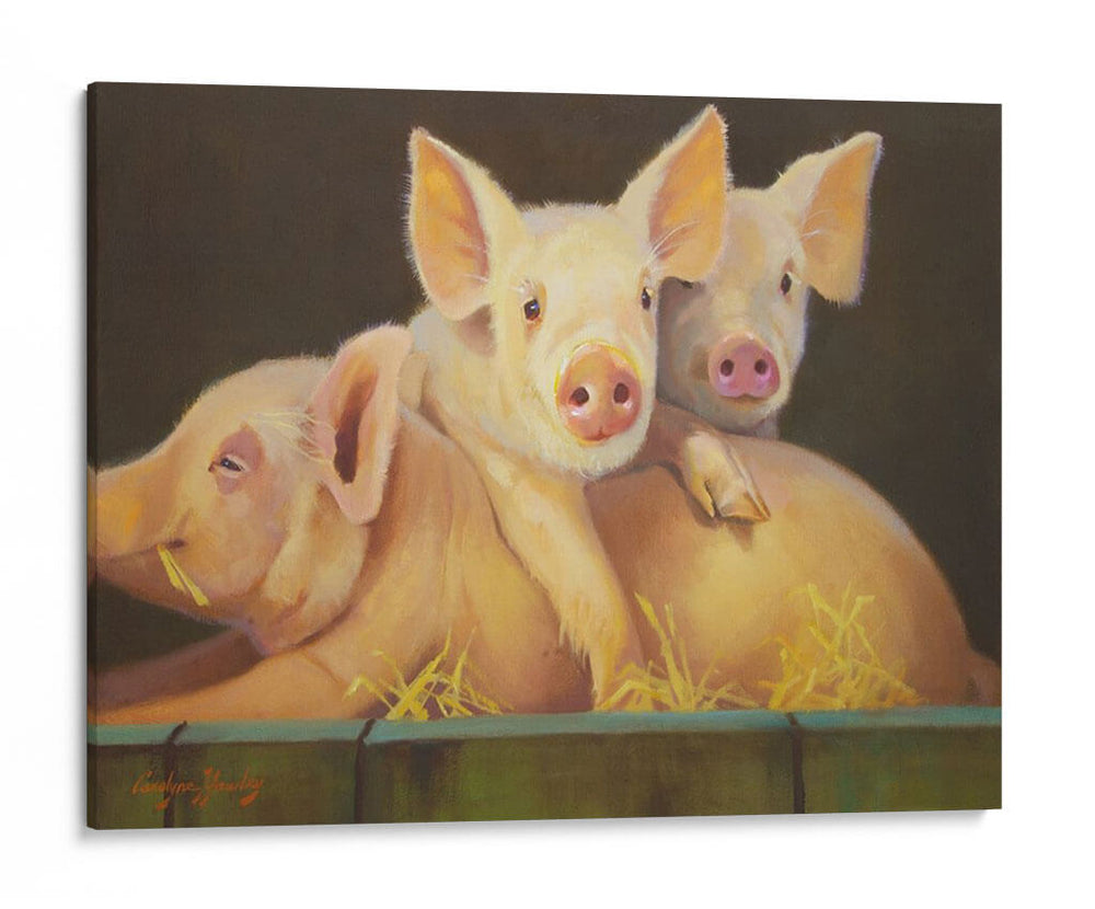 La Vida Como Cerdo Iii - Carolyne Hawley | Cuadro decorativo de Canvas Lab
