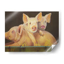 La Vida Como Cerdo Iii - Carolyne Hawley | Cuadro decorativo de Canvas Lab