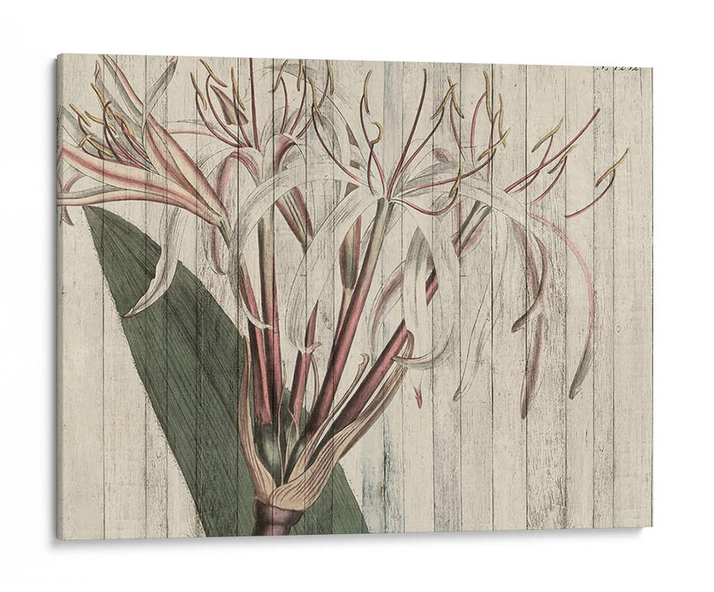 Floral Rústico I - Studio W | Cuadro decorativo de Canvas Lab