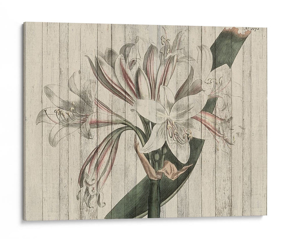 Floral Rústico Ii - Studio W | Cuadro decorativo de Canvas Lab