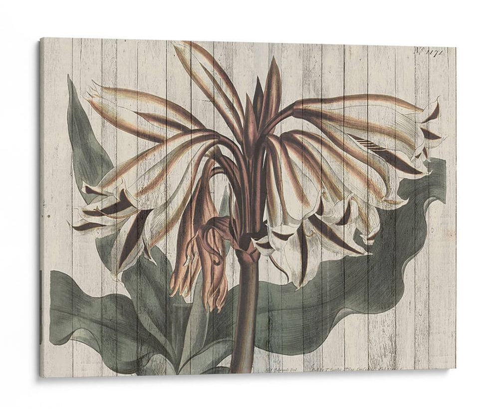 Floral Rústico Iii - Studio W | Cuadro decorativo de Canvas Lab