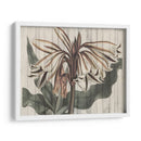 Floral Rústico Iii - Studio W | Cuadro decorativo de Canvas Lab