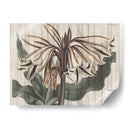 Floral Rústico Iii - Studio W | Cuadro decorativo de Canvas Lab