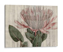Rústico Floral Iv - Studio W | Cuadro decorativo de Canvas Lab