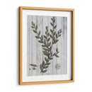 Verdor Rústico Ii - Studio W | Cuadro decorativo de Canvas Lab