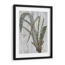 Verdor Rústico Iv - Studio W | Cuadro decorativo de Canvas Lab