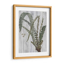 Verdor Rústico Iv - Studio W | Cuadro decorativo de Canvas Lab