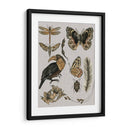 Estudios De La Naturaleza I - Melissa Wang | Cuadro decorativo de Canvas Lab