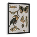 Estudios De La Naturaleza I - Melissa Wang | Cuadro decorativo de Canvas Lab