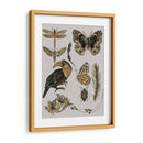 Estudios De La Naturaleza I - Melissa Wang | Cuadro decorativo de Canvas Lab