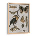 Estudios De La Naturaleza I - Melissa Wang | Cuadro decorativo de Canvas Lab