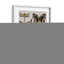 Estudios De La Naturaleza I - Melissa Wang | Cuadro decorativo de Canvas Lab