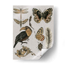 Estudios De La Naturaleza I - Melissa Wang | Cuadro decorativo de Canvas Lab