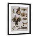 Estudios De La Naturaleza Ii - Melissa Wang | Cuadro decorativo de Canvas Lab