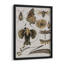 Estudios De La Naturaleza Ii - Melissa Wang | Cuadro decorativo de Canvas Lab