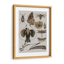 Estudios De La Naturaleza Ii - Melissa Wang | Cuadro decorativo de Canvas Lab