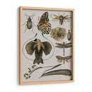 Estudios De La Naturaleza Ii - Melissa Wang | Cuadro decorativo de Canvas Lab