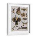 Estudios De La Naturaleza Ii - Melissa Wang | Cuadro decorativo de Canvas Lab