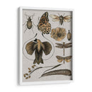 Estudios De La Naturaleza Ii - Melissa Wang | Cuadro decorativo de Canvas Lab