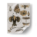 Estudios De La Naturaleza Ii - Melissa Wang | Cuadro decorativo de Canvas Lab