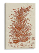 Floral Ornamental - Vision Studio | Cuadro decorativo de Canvas Lab