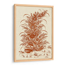 Floral Ornamental - Vision Studio | Cuadro decorativo de Canvas Lab