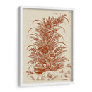 Floral Ornamental - Vision Studio | Cuadro decorativo de Canvas Lab