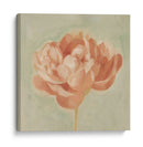 Peonía De Primavera I - Emma Scarvey | Cuadro decorativo de Canvas Lab