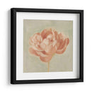 Peonía De Primavera I - Emma Scarvey | Cuadro decorativo de Canvas Lab
