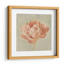 Peonía De Primavera I - Emma Scarvey | Cuadro decorativo de Canvas Lab