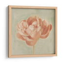 Peonía De Primavera I - Emma Scarvey | Cuadro decorativo de Canvas Lab