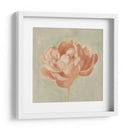 Peonía De Primavera I - Emma Scarvey | Cuadro decorativo de Canvas Lab