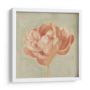Peonía De Primavera I - Emma Scarvey | Cuadro decorativo de Canvas Lab