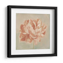 Peonía De Primavera Ii - Emma Scarvey | Cuadro decorativo de Canvas Lab