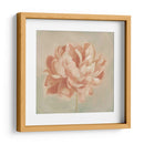 Peonía De Primavera Ii - Emma Scarvey | Cuadro decorativo de Canvas Lab