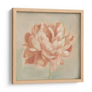 Peonía De Primavera Ii - Emma Scarvey | Cuadro decorativo de Canvas Lab