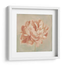 Peonía De Primavera Ii - Emma Scarvey | Cuadro decorativo de Canvas Lab