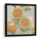 Estudio De Cítricos En Aceite I - Emma Scarvey | Cuadro decorativo de Canvas Lab