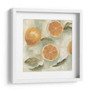 Estudio De Cítricos En Oil Iii - Emma Scarvey | Cuadro decorativo de Canvas Lab