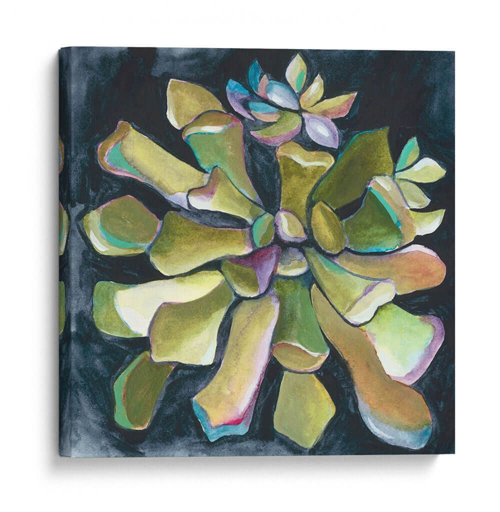 Rosetón Suculento I - Chariklia Zarris | Cuadro decorativo de Canvas Lab