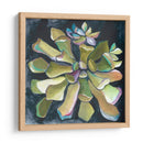 Rosetón Suculento I - Chariklia Zarris | Cuadro decorativo de Canvas Lab