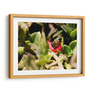 Abeja - Rodrigo Zabal | Cuadro decorativo de Canvas Lab